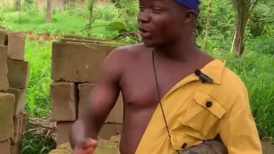 Amaka will Born better picking