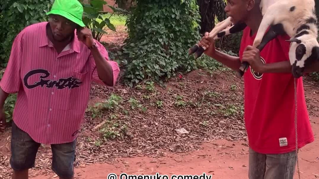 He stole goat for bride price