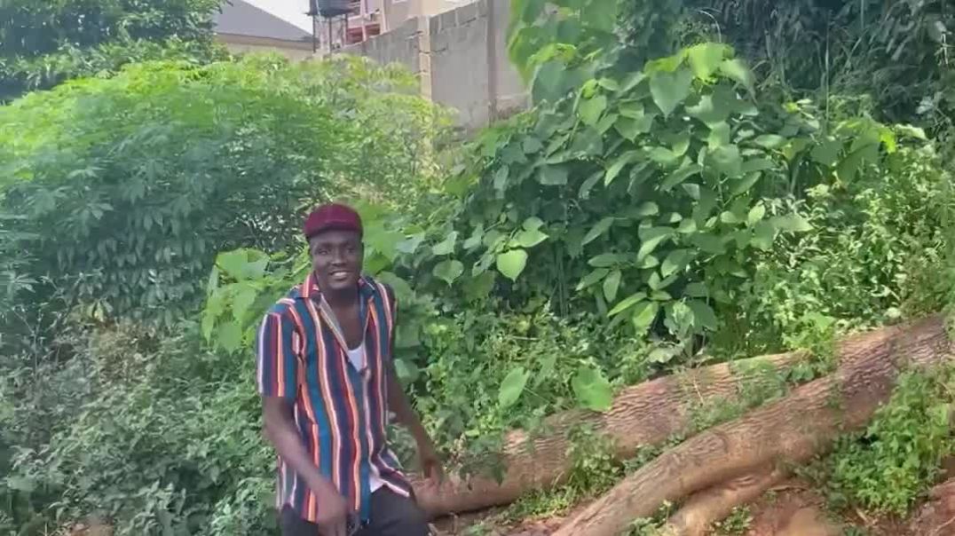 ⁣my bother give woman head guy give head