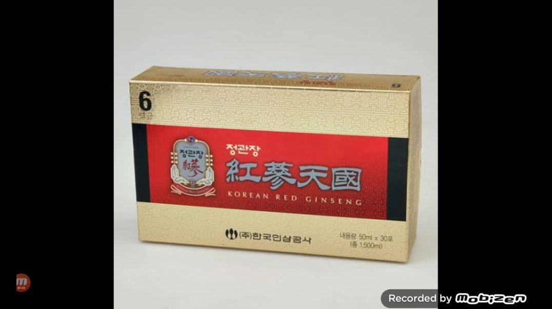 2008年 - 정관장 홍삼정차 (파워레인저의 트레저포스편)