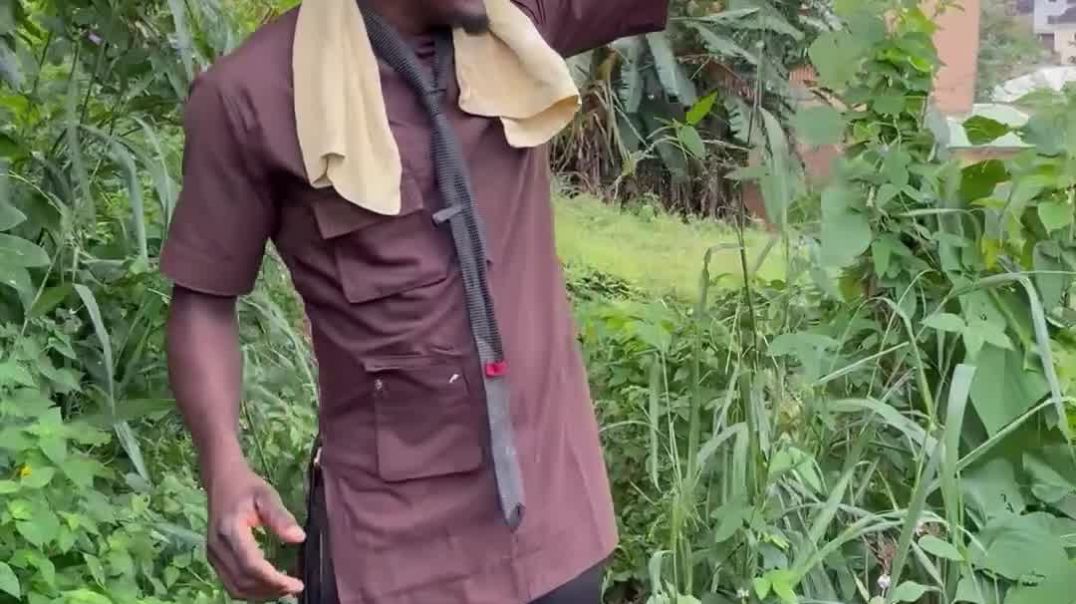 video-output-34E50DF5-C89F-46F2-B171-14F163C777F1-1