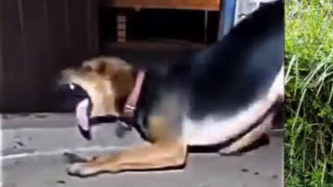 ⁣Funny people 🤣🤣🤣🤣🤣🤣