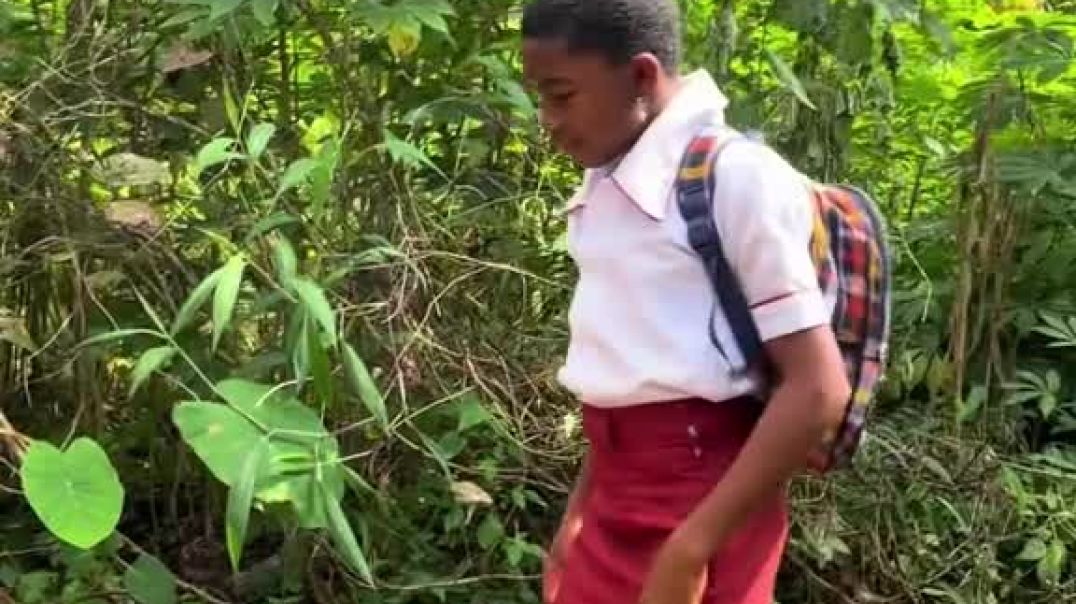 ⁣This video will make your day