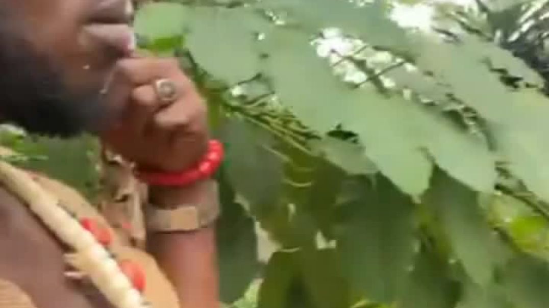 ⁣Native doctor 🤣🤣 part 1