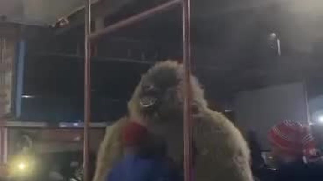 Ojadike adada entertainment