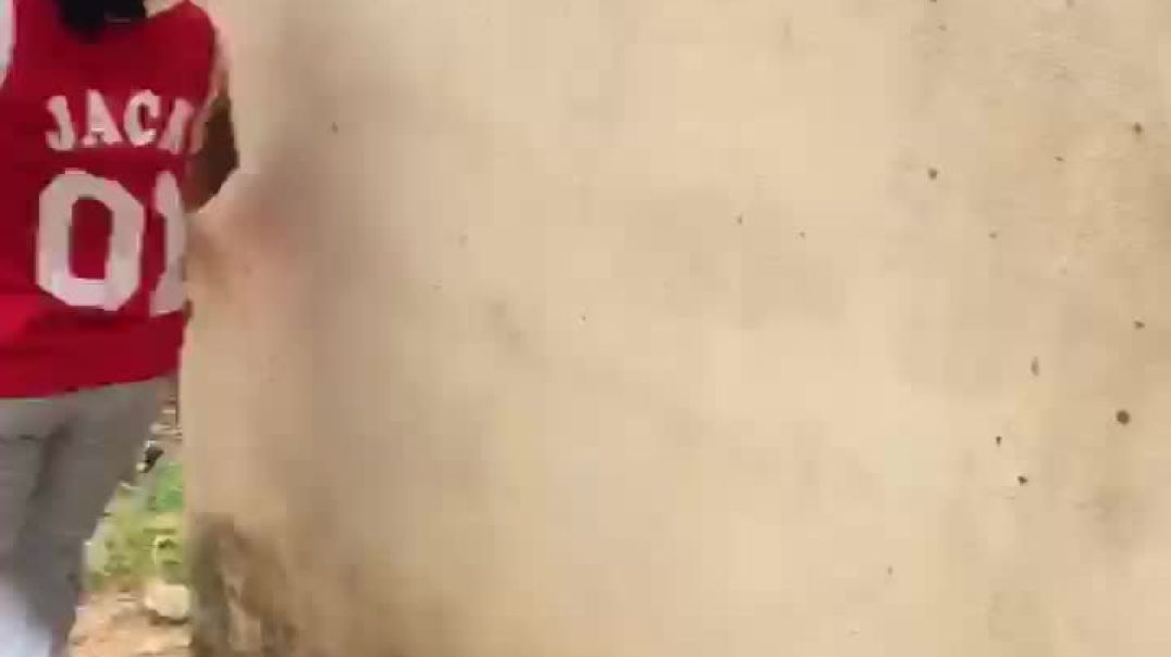 I cover my nyash in IJN🙏🙏😂😂