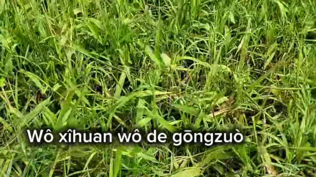 Acquisition of knowledge