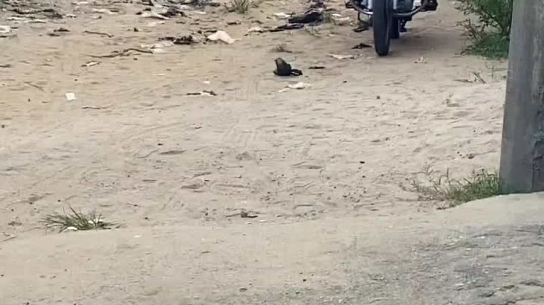 Mc mallam the bike man episode (1)