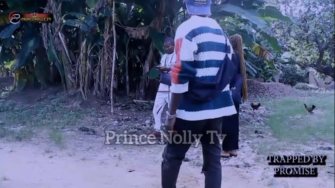 THE TRAP IN THE CITY