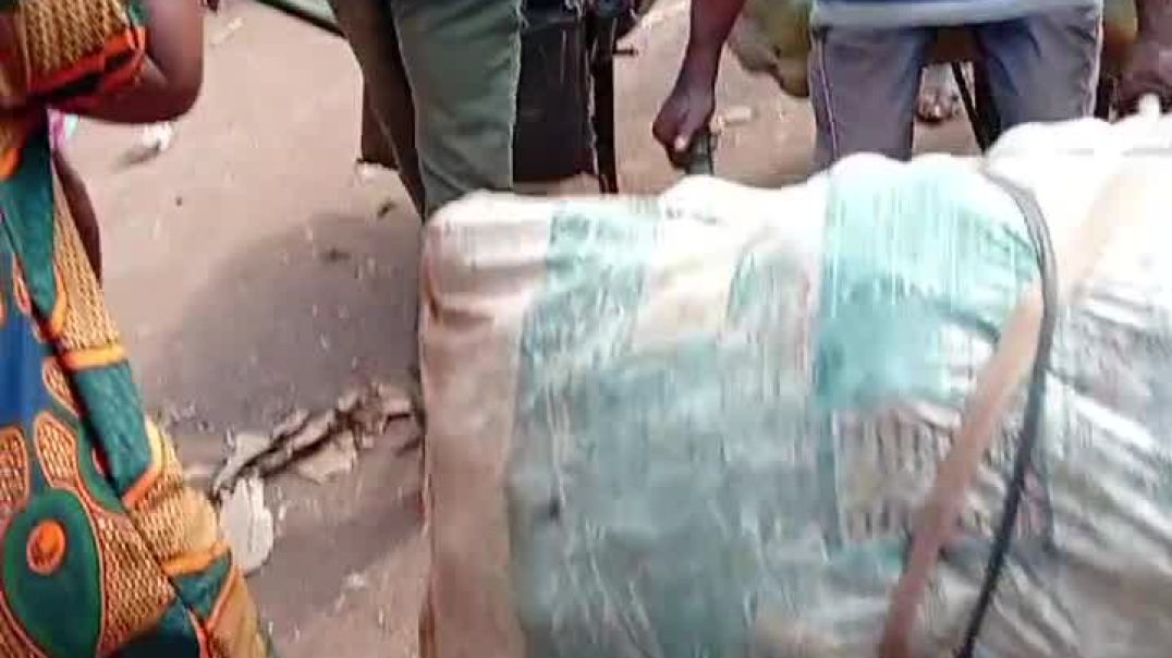 Ojadike adada entertainment