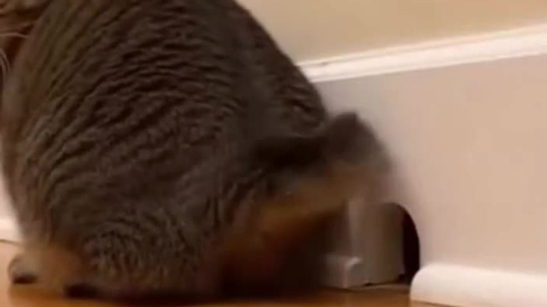 HE TRIED ESCAPING IT