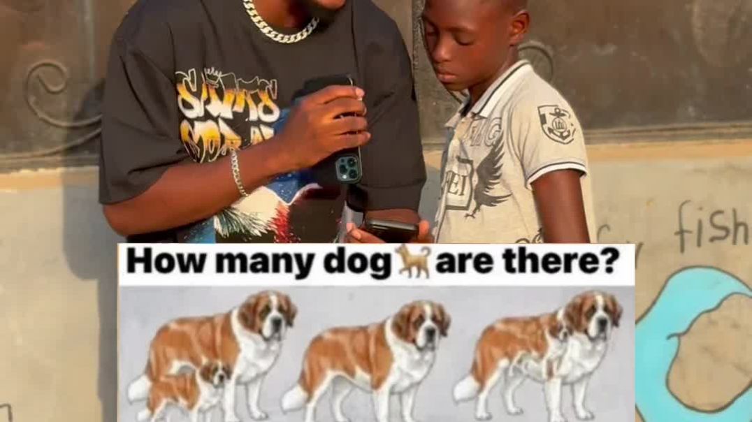 how many dogs can you see ?