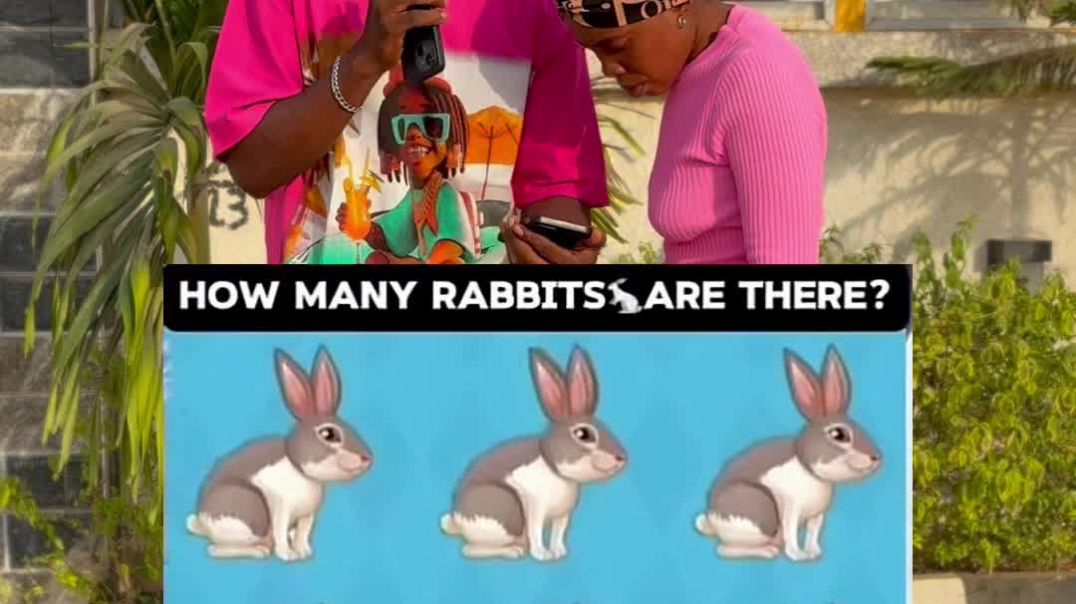 how many rabbits can u see