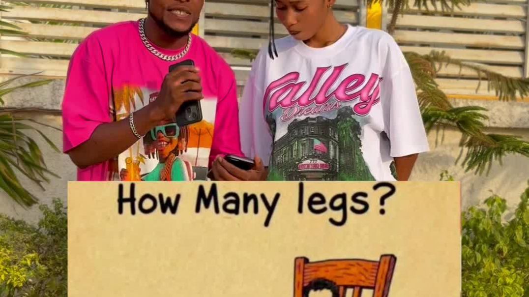 how many legs can you see ?