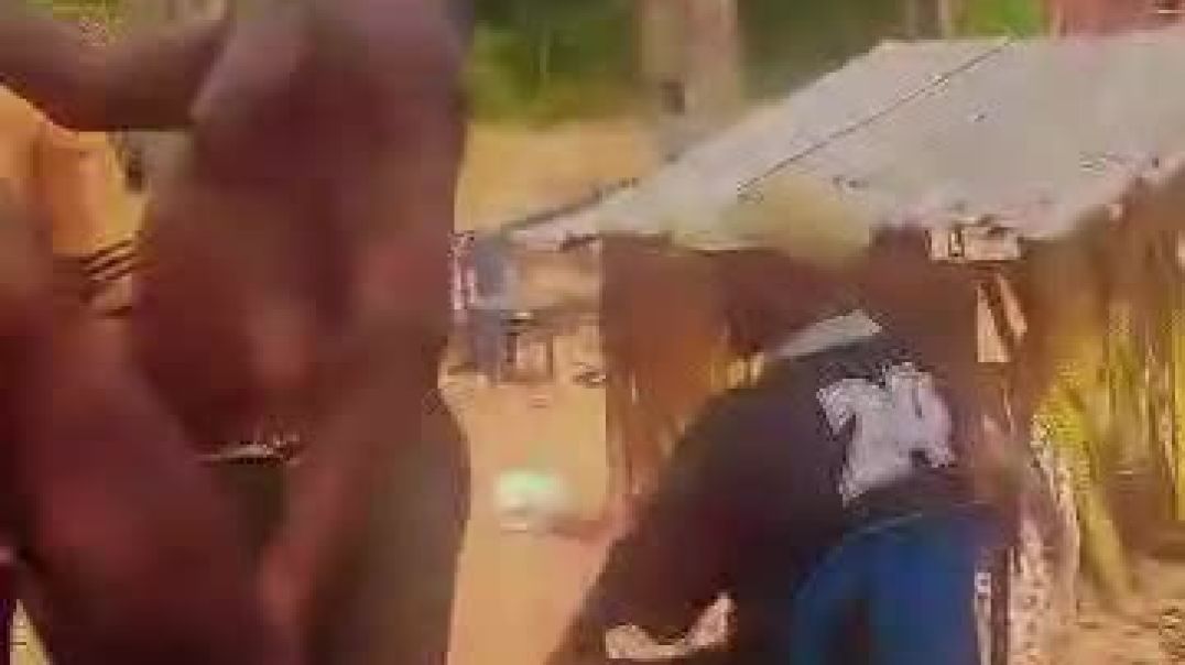 Ojadike adada entertainment