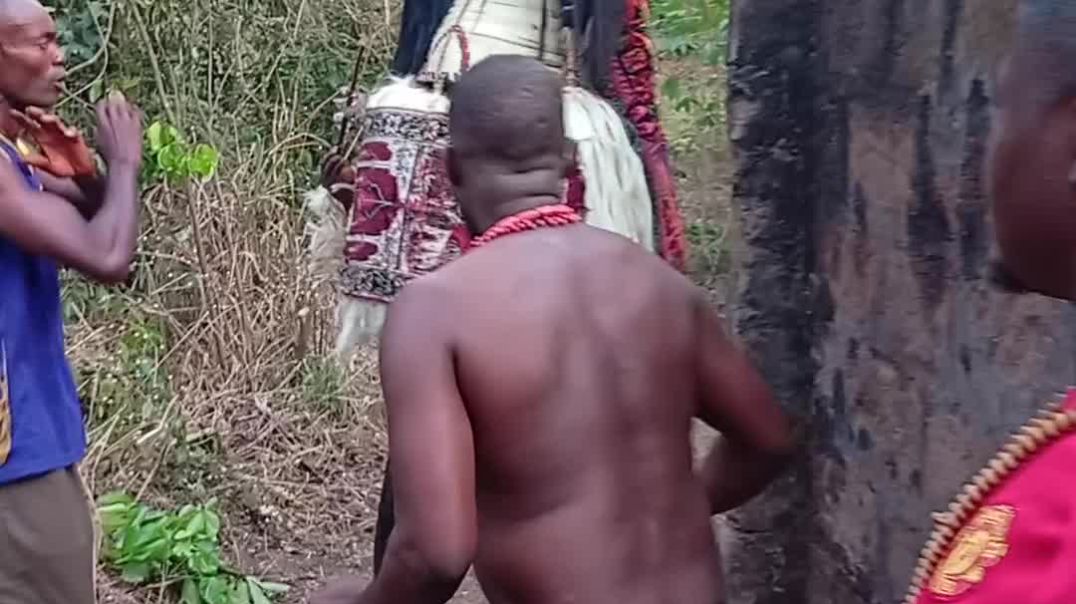 Ojadike adada entertainment