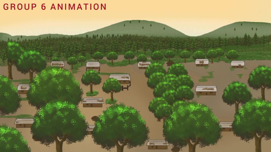 The mango tree(1080p)