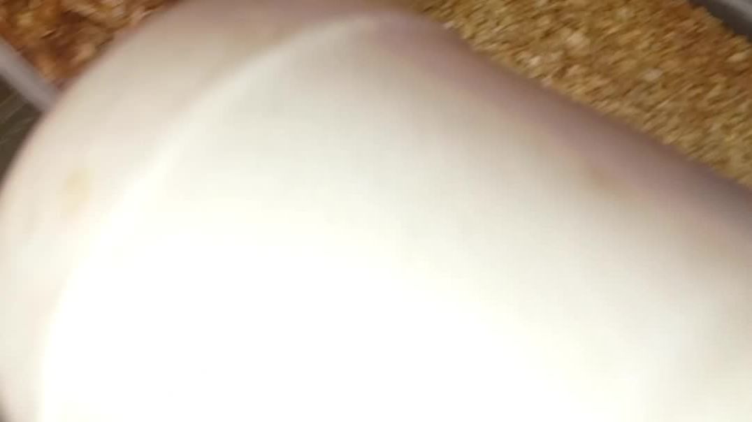 YouCut_20260128_112130235