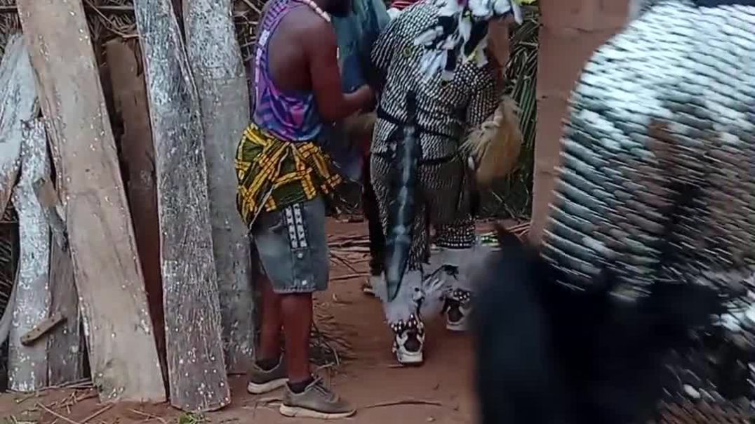 Ojadike adada entertainment