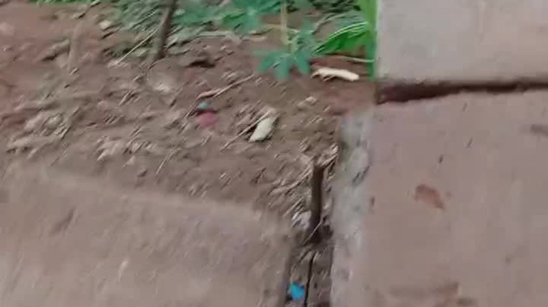 Ojadike adada entertainment