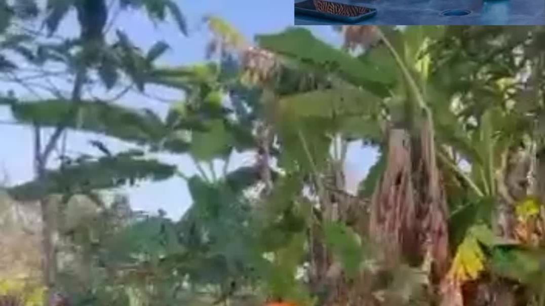 She was caught having sex😂🙆‍♂️