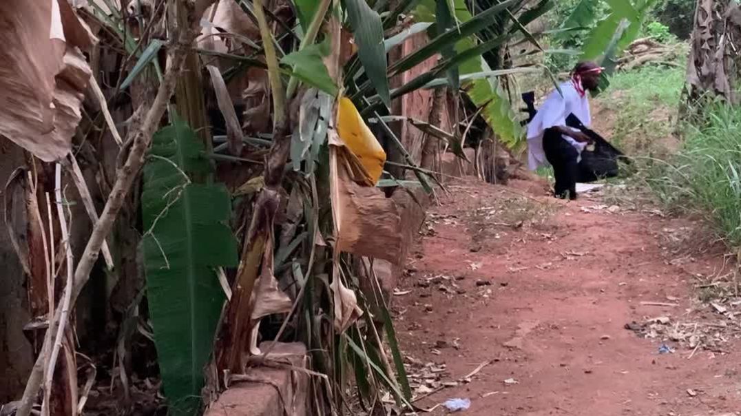 The gun shoot was too much