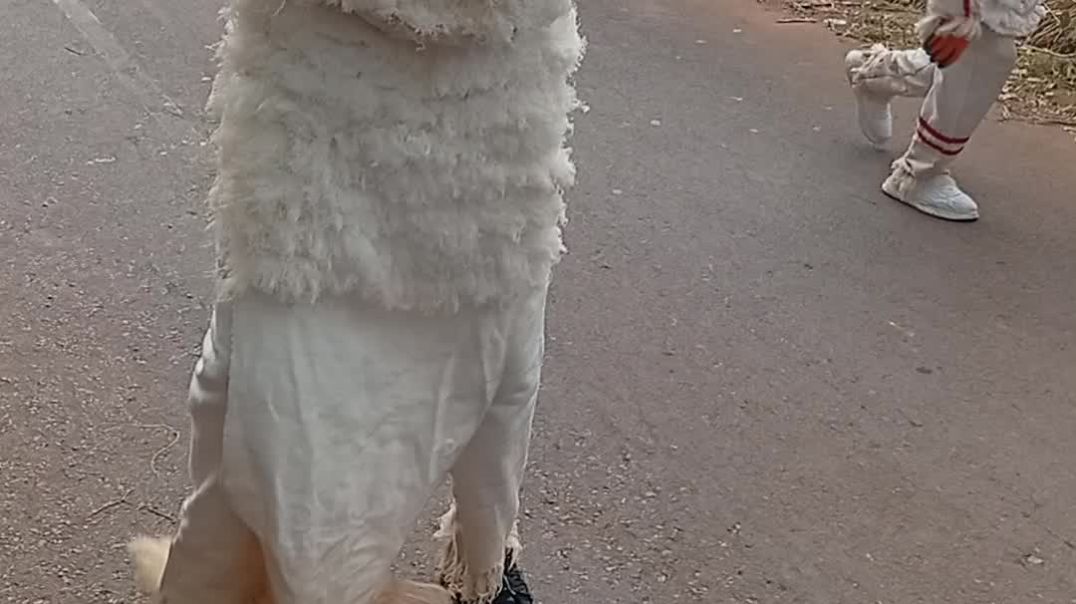 Ojadike adada entertainment