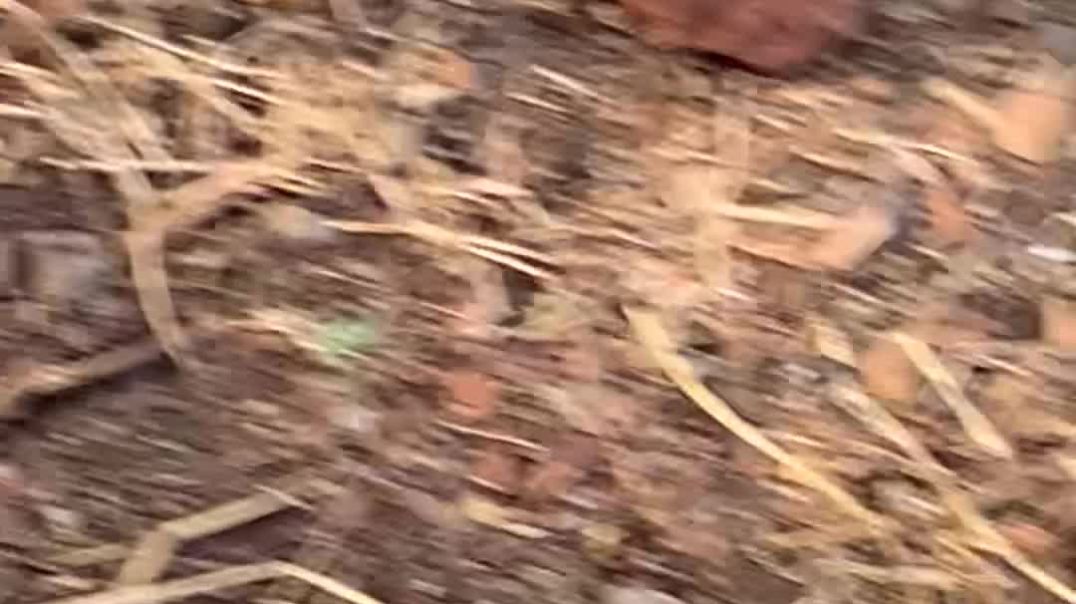 You won’t believe what happened here