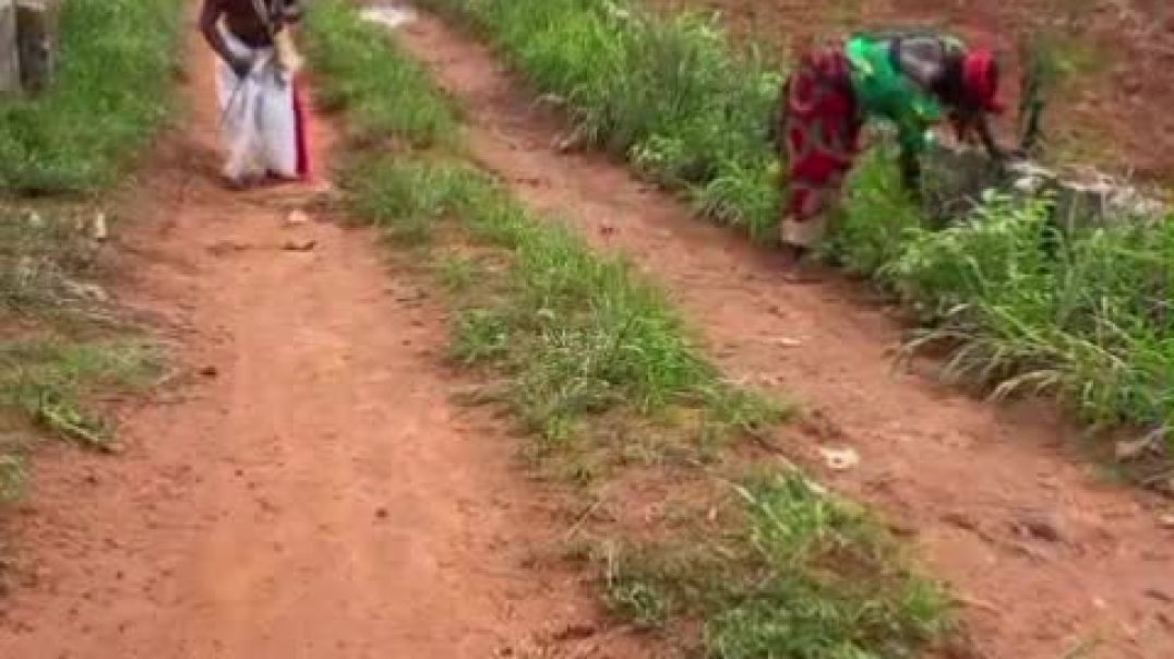 Ojadike adada entertainment