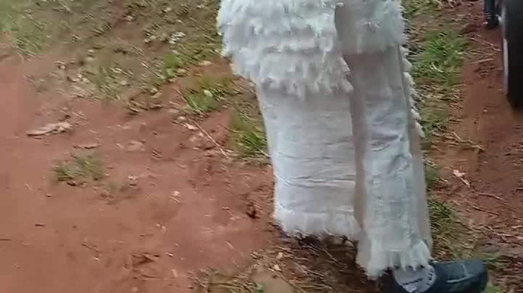 Ojadike adada entertainment