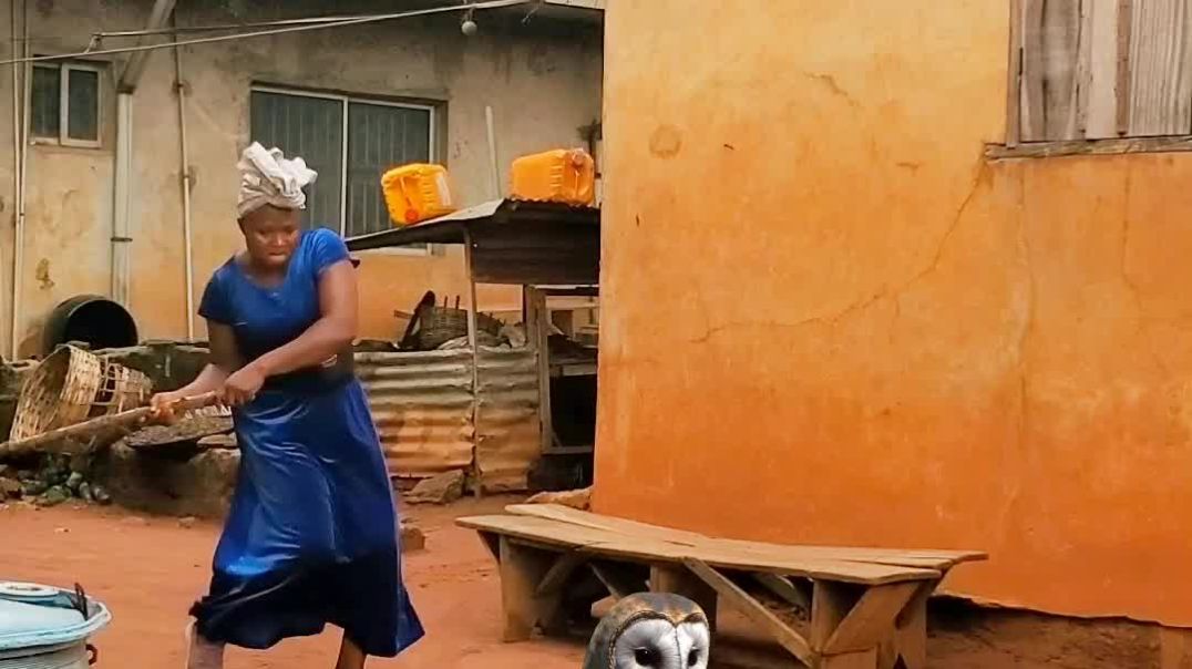 InShot_20260409_202707278