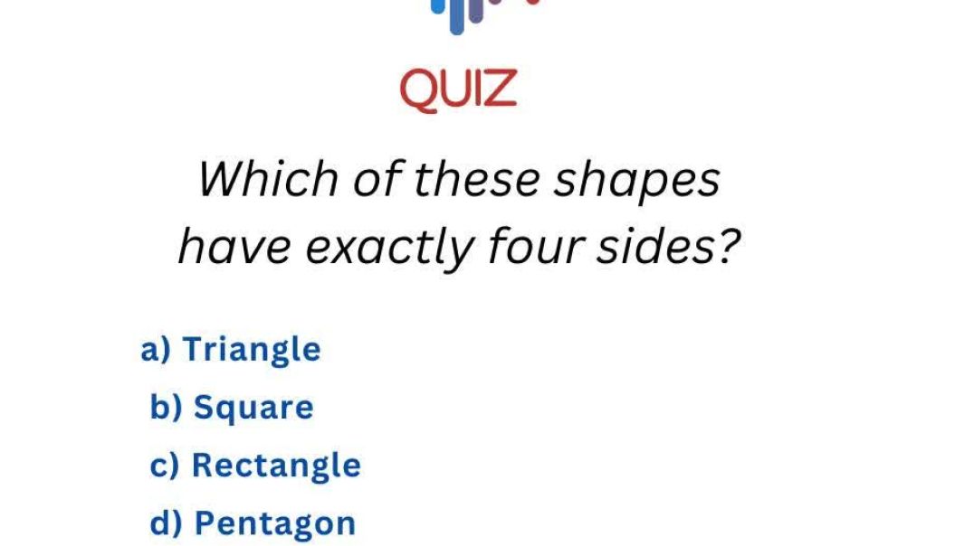 quiz 0508