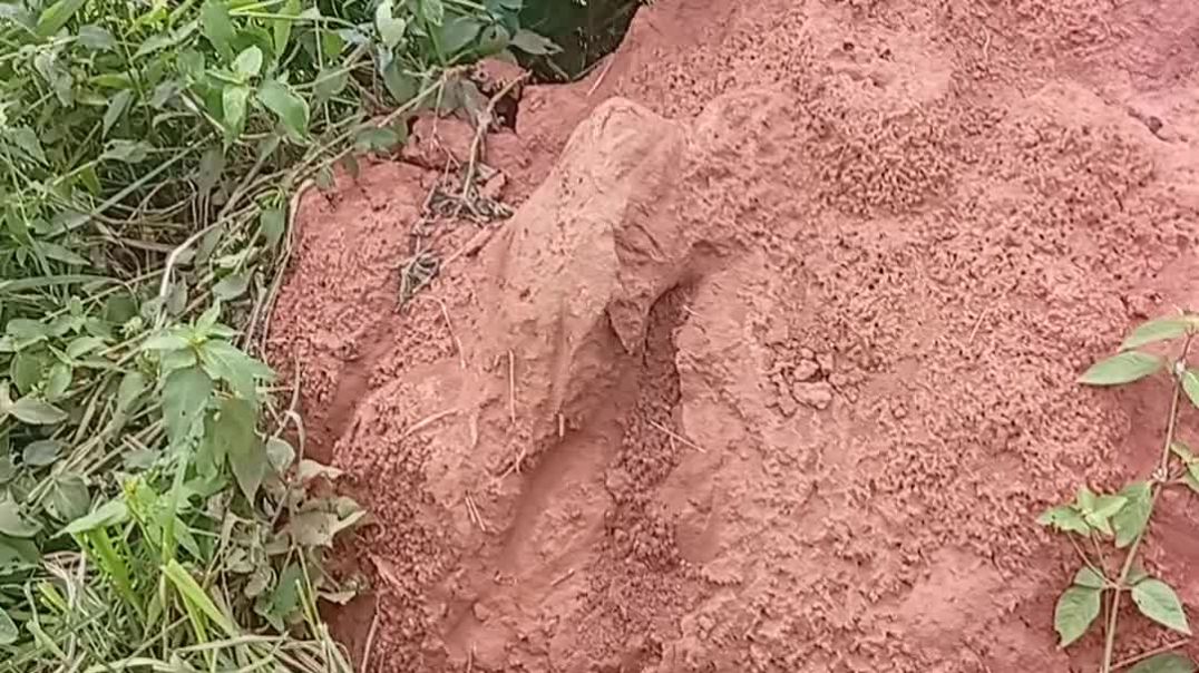 ⁣Ojadike adada entertainment
