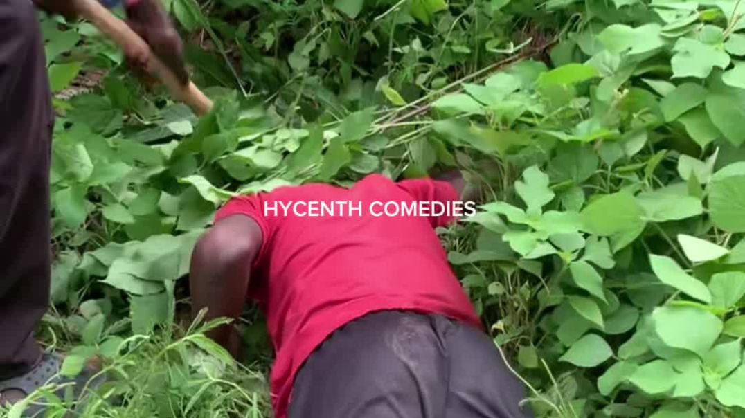 they never saw it coming