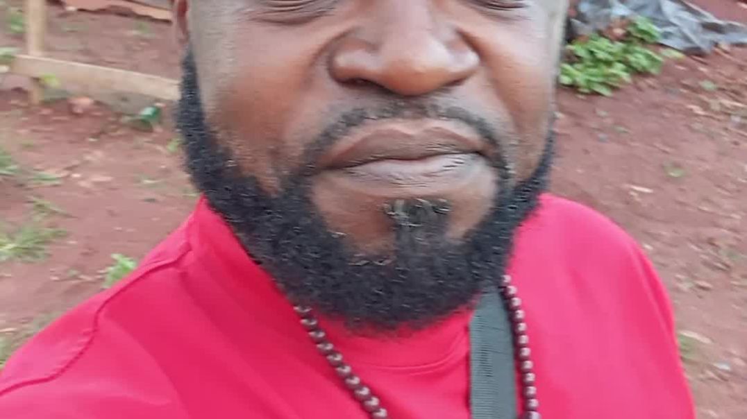 Ojadike adada entertainment