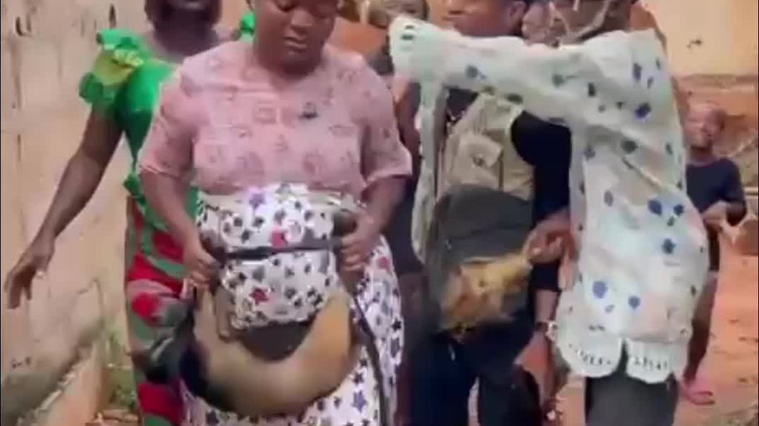 Goat thief