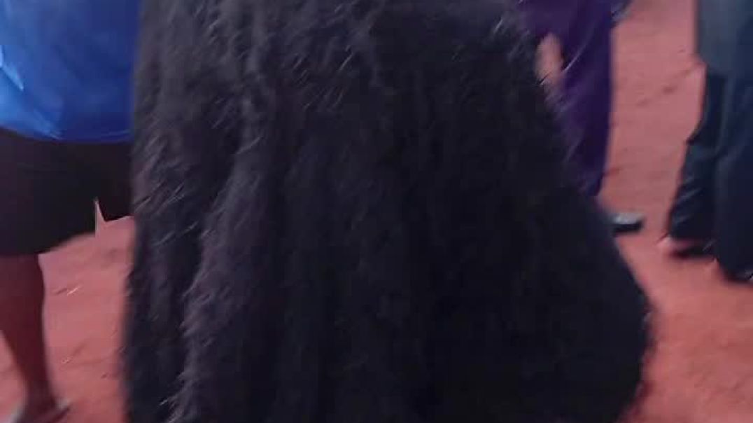 Ojadike adada entertainment