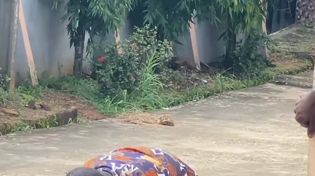I want to go and check what's they are doing there