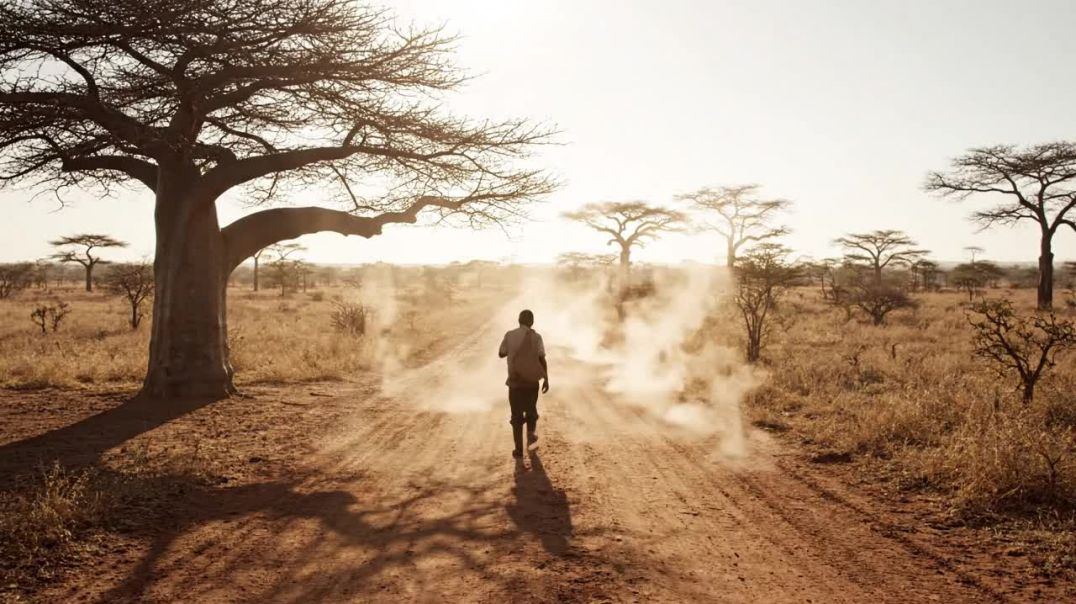 Tired_traveler_walking_dusty_road